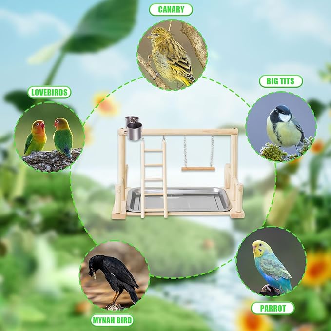 Bird Playground, Natural Wood Bird Perch Stand with Removable Tray and 2 Stainless Steel Feeder Cups, Parrot Playstand Bird Cage Toys for Conure Parakeet Cockatiel Parrot (B)