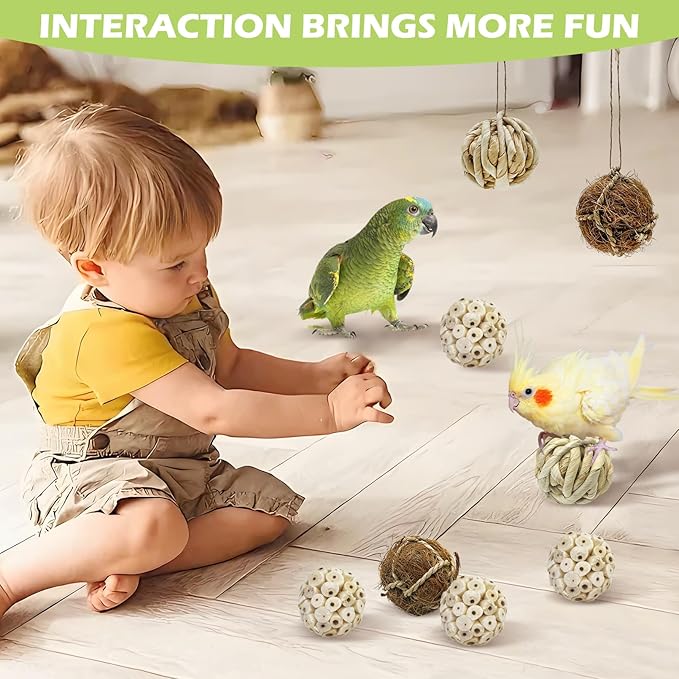 BNOSDM 8PCS Natural Bird Chew Toys Sola Balls Shred Toy Lightweight Conure Foot Toy Interactive Parrot Foraging Toys Bird Chew Balls with Hemp Rope Hook for Budgies Cockatiels Parakeets Senegal