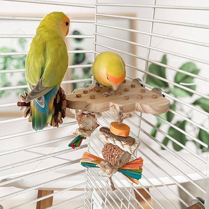 2 Pack Parrot Toys, Parrot Wooden Toys Long Tailed Bird Toys with Pure Natural Corn Sticks and Pure Natural Pine Cones, Fun Bird Cage Accessories