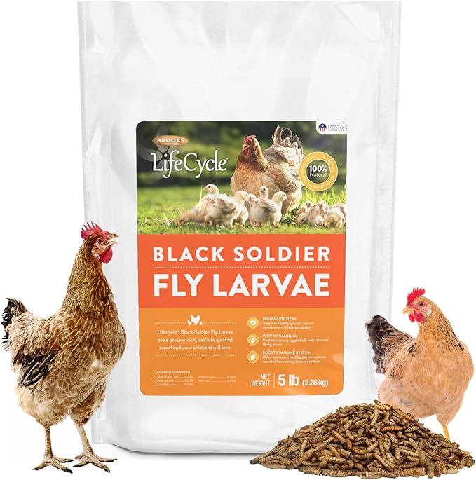 Brooks Brand Black Soldier Fly Larvae Chicken Treats, Mealworms Substitute, Grubs for Chickens, High Calcium for Laying Hens, Made in USA (5 lbs)
