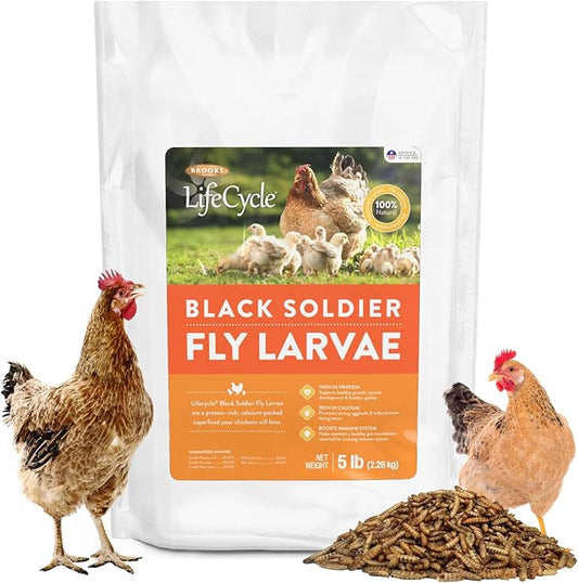 Brooks Brand Black Soldier Fly Larvae Chicken Treats, Mealworms Substitute, Grubs for Chickens, High Calcium for Laying Hens, Made in USA (5 lbs)