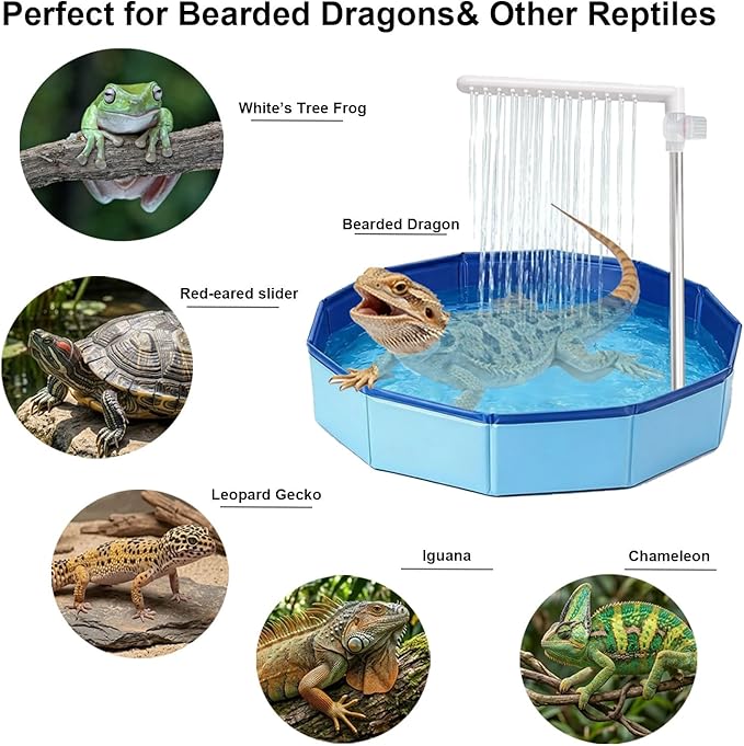 Large Electric Bearded Dragon Pool, with a Faucet and an Adjustable Flow Control Valve, Electric Bathtub for Bearded Dragons, Bearded Dragon Pool, Bearded Dragon Accessories, Bearded Dragon Bathtub