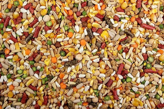 Chicken Feed, Whole Ingredient Chicken Treat, Wied Variety of Grains Poultry Feed (5 Pound (Pack of 1), High-Octain (High Protein) with Cracked Corn)