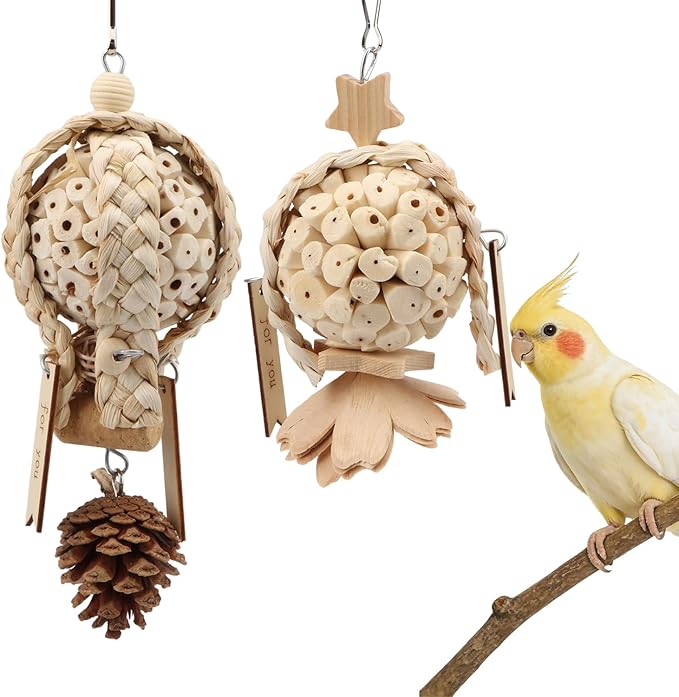 Litewoo Bird Foraging Shredding Hanging Toys 2PCS Natural Soft Sola Balls Beak Conure Chewing Toys Cage Accessories for Budgie Lovebird Cockatiel Conure Parrot Other Small and Medium Size Birds