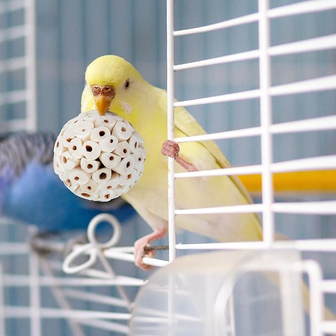 andwe Bird Toy Sola Ball - Natural Soft Chew Shredding & Foraging Toy for Cockatiel Conure Quaker Parrot Budgie Parakeet Rabbit Bunny Guinea Pig Chinchilla (Style 1 (Pack of 6))