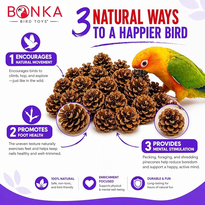 Bonka Bird Toys 3284 Natural Pine Cone Bird Toy 2" Real Pinecone Chew Foraging Toy for Small to Medium Birds Parakeet Cockatiel Conure Finch Cage Enrichment (Pack of 12)