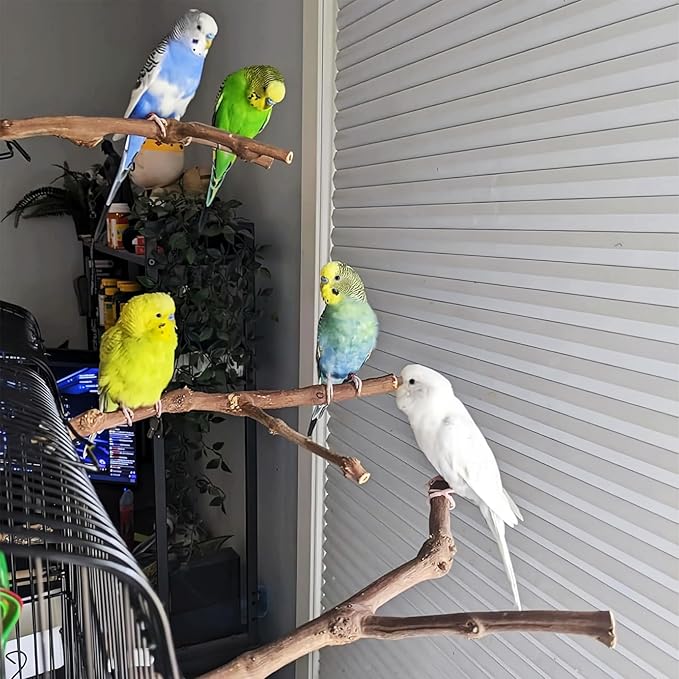 PINVNBY Bird Perches for Cage,3Pcs Parrot Perches Natural Grape Wood Birdcage Stands Pole 4Pcs Birds Toys Ball for Parakeet Lovebirds Budgies Cockatiels Finches