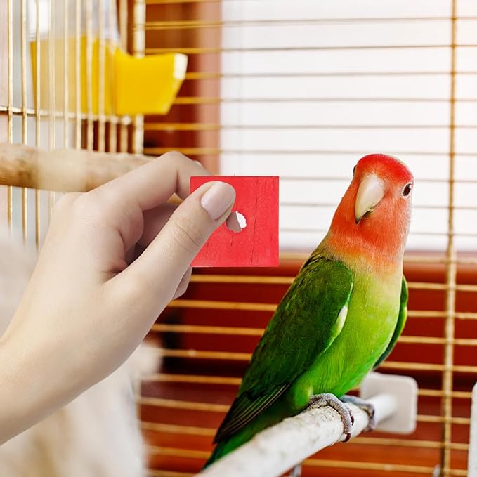Gatuida 100Pcs Wooden Blocks Parrot Toys Bird Cage Chewing Wood Blocks for Parrots DIY Shredding Supplies