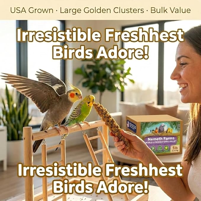 Nemeth Farms Spray Millet - Edible Tops Only, Non-GMO and Sun-Dried - 5 lbs for Parakeets, Conures and Cockatiels