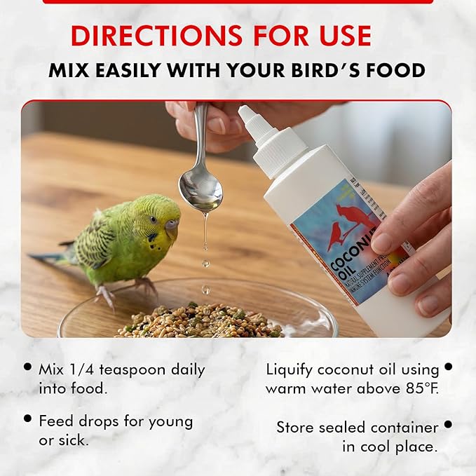 Morning Bird Coconut Oil for Birds 4 oz – Cold Pressed, Organic - Supports Immunity & Digestion – Boosts Energy & Feather Health – Easy to Mix – Safe for All Bird Life Stages
