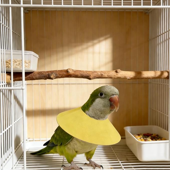 4 Pack Parrot Recovery Collar, Anti-Bite & Anti-Plucking Protective E-Collar for Budgies, Lovebirds, Cockatiels & Small Birds, Features Adjustable Velcro to Aid Wound Healing.
