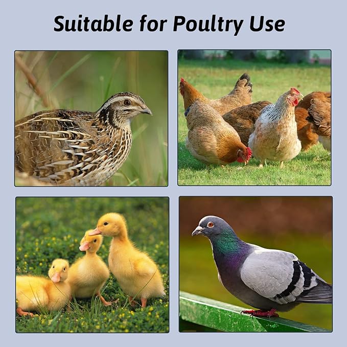 2PCS Pigeon Feeder, Bird Dispenser Slot Container, Poultry Plastic Thick Trough Dish Less Waste with Removable Steel Wire Partition for Pigeons Quails Birds Chicks Ducklings