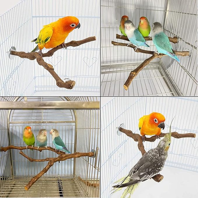 Natural Parrot Perch Wild Grape Stick Bird Standing Pole Claw Grinding Fork Parrot Climbing Standing Branch Toy Chewable Cage Accessory Small Budgies Love Birds 4PCS