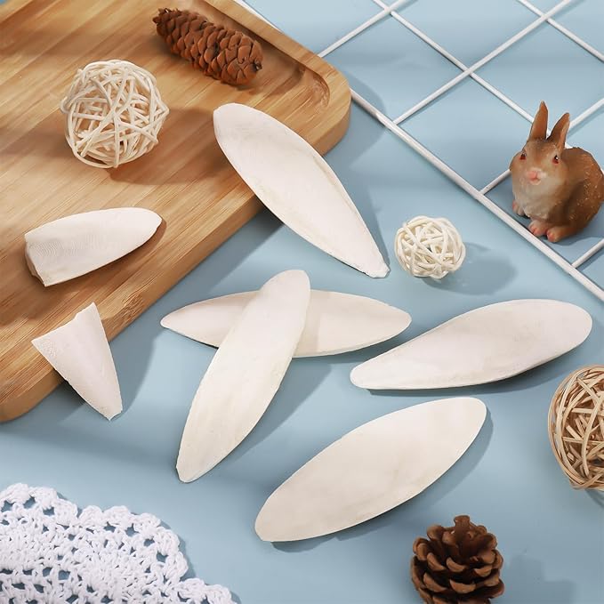 6 Pcs Natural Cuttlebone for Birds Parakeets Pure Cuttlebone Calcium Stone for Parakeets Canaries Cockatiels Tortoise Turtles Cockatiel 11-11.5cm /4.3-4.5”