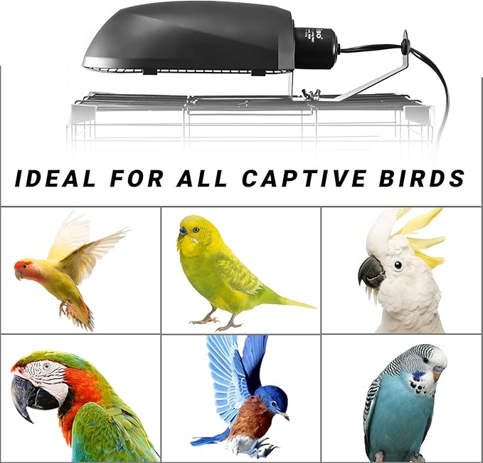 Bird Cage Light Fixture Combo Kit, AvianSun Lamp Hood with 2.4% UVB UVA 20W Compact Fluorescent Bulb for All Kinds Captive Birds