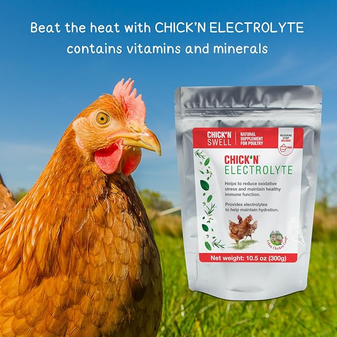 Chicken Electrolytes for Heat Stress & Dehydration – Poultry Electrolyte & Vitamin Supplement for Laying Hens and Chicks – Supports Hydration & Recovery – 10.5 oz, from Chick’N Swell.