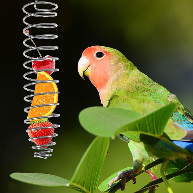 2Pcs Bird Foraging Toy, Steel Holder for Bird Cage Accessories Hanging Fruit Vegetable Feeder for Parrot Cage Parakeet