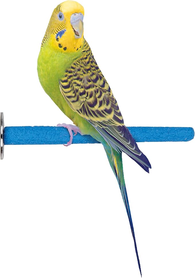 PENN-PLAX Bird-Life Cement Trimmer Bird Perch – Naturally Trims Nails & Beak – Great for Parakeets, Lovebirds, Parrotlets, Cockatiels, and Other Medium Birds – 7” Long