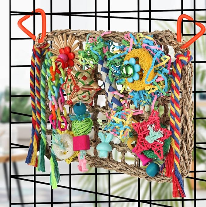 Foraging Toys for Parakeets Cockatiel Conures Lovebirds - Seagrass Wall with Various Bird Toys