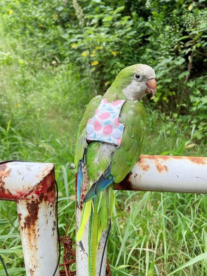 Bird Flight Harness Vest, Parrot Flight Suit with Leash for Parakeets Cockatiels, Bird Flying Clothes with Rope and Handle for Outdoor Activities Training (Pink Without Leash,Large)