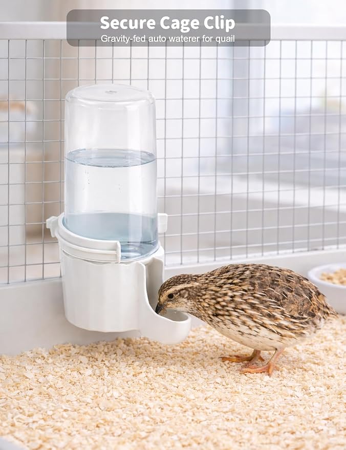 Quail Chick Waterer with Anti-Drowning Shallow Tray, 16.6 fl oz Automatic Gravity Button Quail Waterer, Hanging or Free-Standing Bird Water Dispenser for Wire Mesh Cages and Brooders (White)