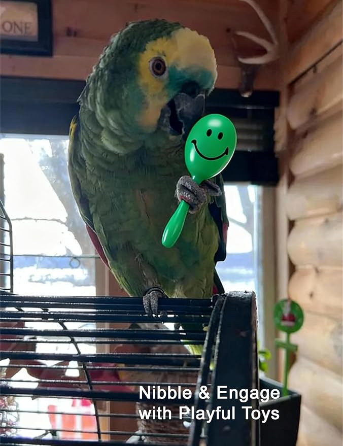 5-Pack Bird Toys for Parrots, Canaries - Colorful, Safe & Fun to Play, Gleeful Chirps (1.5'' - 2.8'')