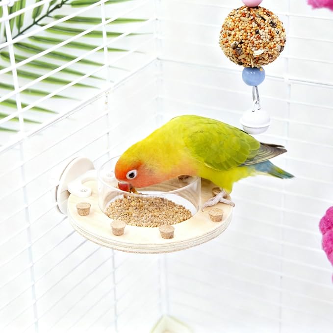 Bird Cage Accessories, Transparent Acrylic Feeding Bowl with Wooden Frame & Chewable Cork, Bird Cage Feeder for Budgies, Cockatiels, Lovebirds, Canary and Other Small Birds