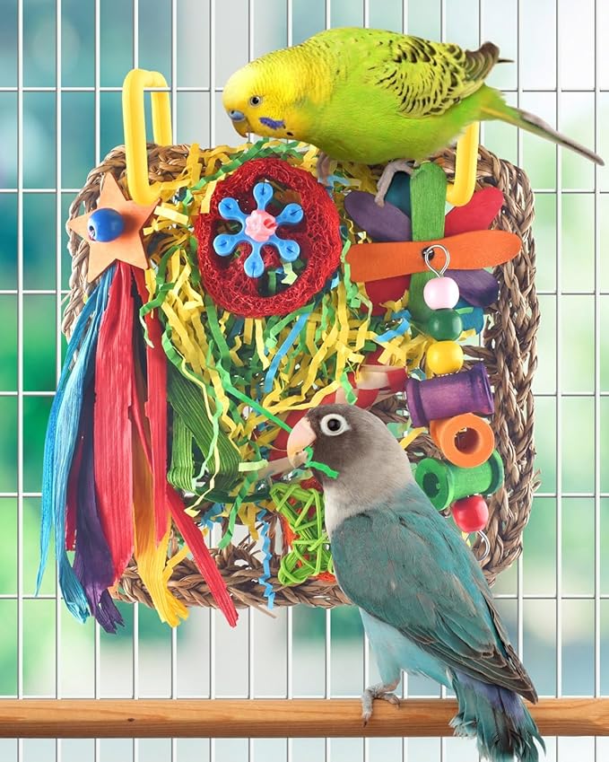 ERKOON Cockatiel Toys, Budgie Toys Foraging Toy Hanging Bird Toy for Lovebrid Parakeets Conures Parrot Foraging Wall with Colorful for Birds Shredding Seagrass, Birds Cage Accessories-2 Pack