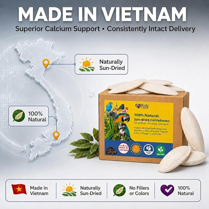 Birds LOVE 7.5-8" Cuttlebone for Birds – 100% Natural Sun-Dried Calcium Carbonate Mineral Supplement – for Parakeets, Budgies, Cockatiels, Finches & Canaries – 2 Pack with Holder – Made in Vietnam