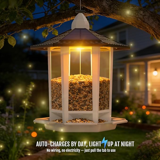 Birdream 2 Pack Solar Bird Feeders for Outdoors Hanging, Assembly Required, 1-Min Easy Setup, Wild Seed Feeders for Cardinals Chickadees and Finches