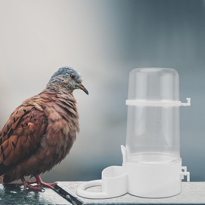 POPETPOP Bird Water Feeder, 2pcs Plastic Automatic Dispenser for Multiple Birds, Parakeet, Budgie, Cockatiel, Lovebirds, Canary, Finch