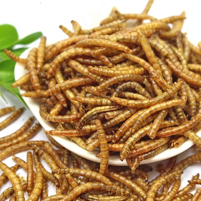 HANDPOINT 20 lbs Dried Mealworms, 100% Non-GMO Natural High-Protein,Treats for Chicken, Fish, Bird Food(20LB)