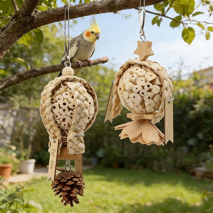 Litewoo Bird Foraging Shredding Hanging Toys 2PCS Natural Soft Sola Balls Beak Conure Chewing Toys Cage Accessories for Budgie Lovebird Cockatiel Conure Parrot Other Small and Medium Size Birds