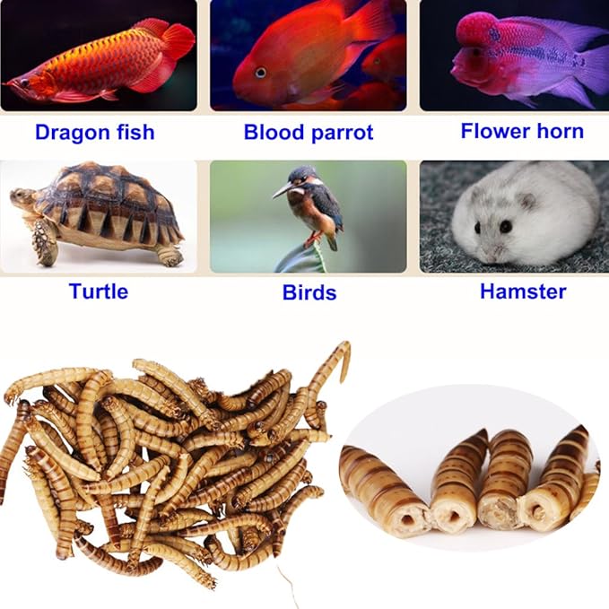 280g High Protein Turtle Food Mealworms Bulk Fresh Dried Mealworms Treats for Reptile Snacks Bird Chicken Fish Food