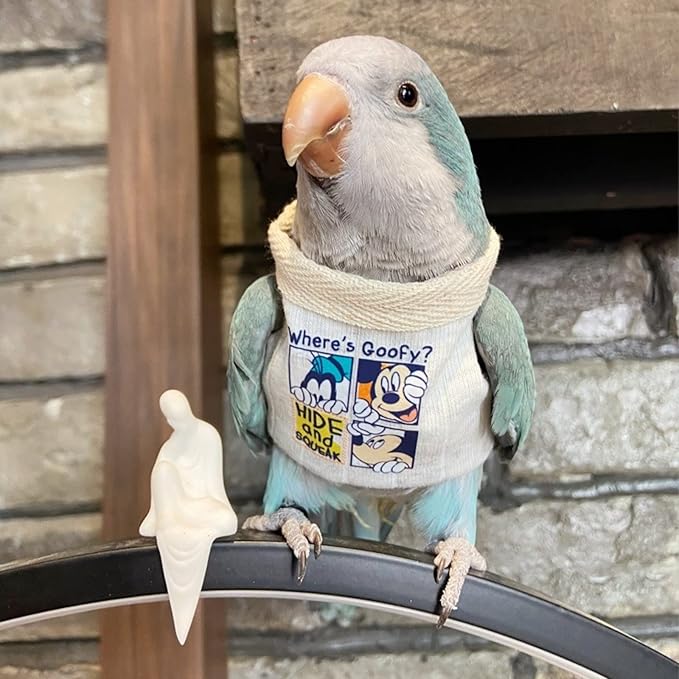 Bird Costume Diaper Flight Suit Frog Shape Hoodie Clothes Cosplay Photo Prop for Parrots Parakeet Cockatiel Sun Conure, Small Animals Apparel (White Without Hat, Medium), Green,White
