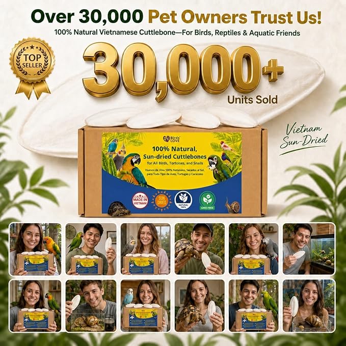 Birds LOVE 7.5-8" Cuttlebone for Birds – 100% Natural Sun-Dried Calcium Carbonate Mineral Supplement – for Parakeets, Budgies, Cockatiels, Finches & Canaries – 1 Pack with Holder – Made in Vietnam