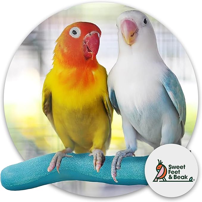 Sweet Feet & Beak Safety Pumice Bird Perch, Medium 1-1/4" X 12", Lightweight Grinding Bird Perches for Cage - Bird Nail Trimming Perch for Healthy Beak & Feet - Multi-Size & Color Parrot Stand - Blue