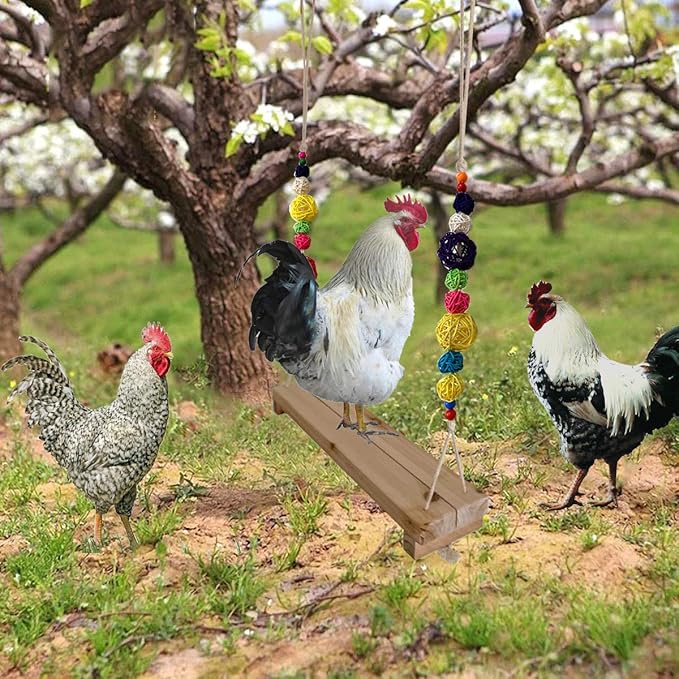 Chicken Swing and Perch - Handmade Wood Stand Coop Toy for Hens - Accessories Ladder for Poultry Run - Large Bird Parrot Hen Macaw Rooster Chick Toy