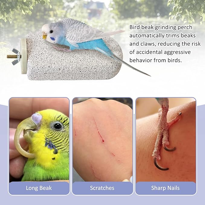 BNOSDM 6 Pcs Large Natural Parrot Beak Grinding Stone Parakeet Chew Toy Calcium Parrot Perch Stand Bird Cage Accessories for Budgies, Cockatiels, Conures, Lovebirds, Canary