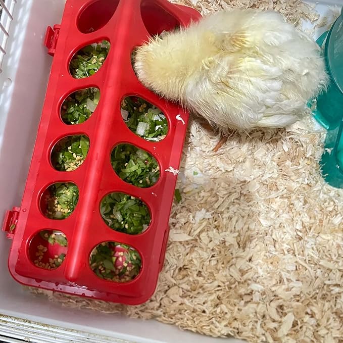 2 Pack Plastic Flip-Top Poultry Feeder Tray, Chick Feeding Trough for Baby Chicken, Ducklings, Quail, Pigeons and Small Birds – Spill-Resistant Farm Feeder