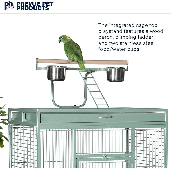 Prevue Hendryx Pet Products Wrought Iron Select Bird Cage 3153SAGE, Sage Green, 30-Inch by 22-Inch by 63-Inch