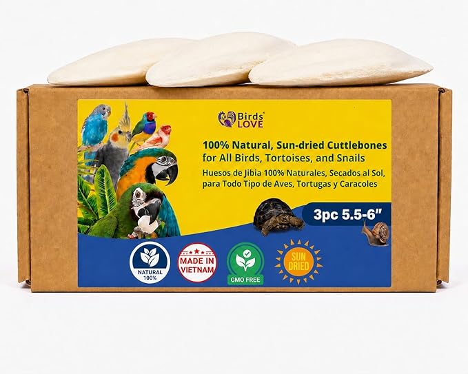 Birds LOVE 5.5-6″ Cuttlebone for Birds – 100% Natural Sun-Dried Calcium & Beak Conditioning Supplement for Parakeets, Budgies, Cockatiels, Finches & Canaries – 3 Pack with Holder – Made in Vietnam