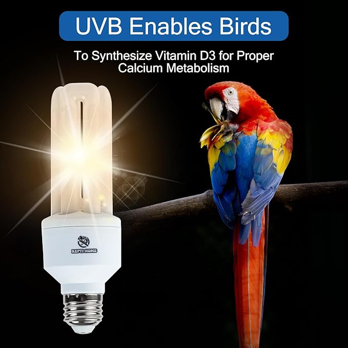 UVA UVB Light Bulb for Birds 2.4 UVB 20W Compact Flourescent Lamp for All Kinds Captive Birds