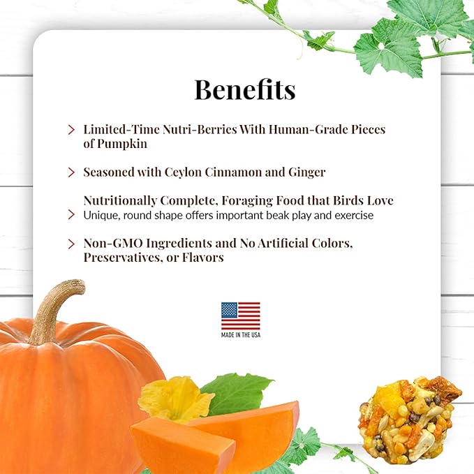 LAFEBER'S Pumpkin Spice Nutri-Berries Pet Bird Food, Made with Non-GMO and Human-Grade Ingredients, 10 oz Pack of 2 (Small Birds)