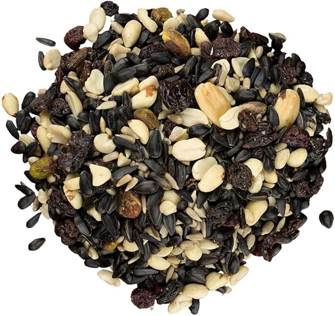 Bird Pro Holistic Bird Seed - Premium Seed for Backyard Feeding (36 Pounds, Nutty Berries with Fruit)