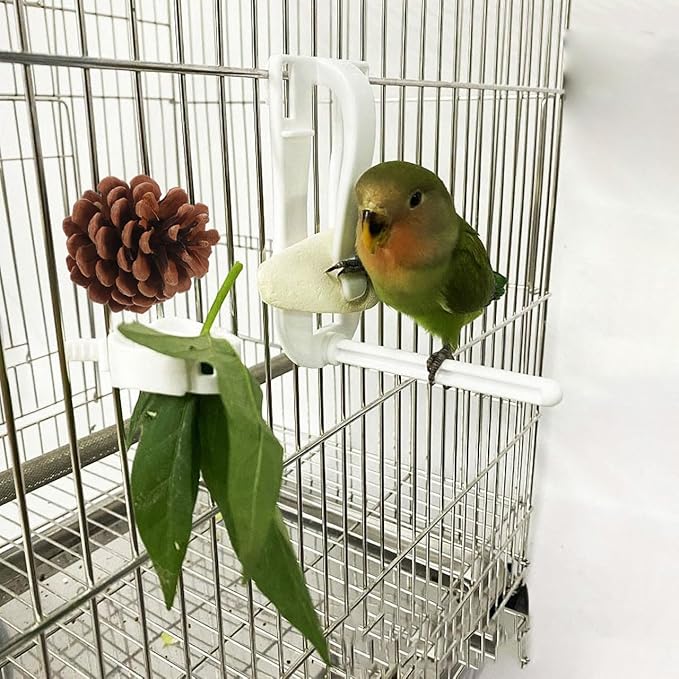 LIOOBO 10 Pcs Natural Pine Cones Bird Toys, Parrot Chew Toy for Cage, Wood Foraging Shredding Playthings Conure Cockatiel Parakeet African Grey Macaw Nut Fixed