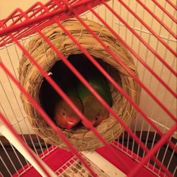 YJJKJ Pet Products Bird Nest Handwoven Straw House for Parakeets Cockatiels Parrot Budgie Or Small Pet (XL, Dark Green)