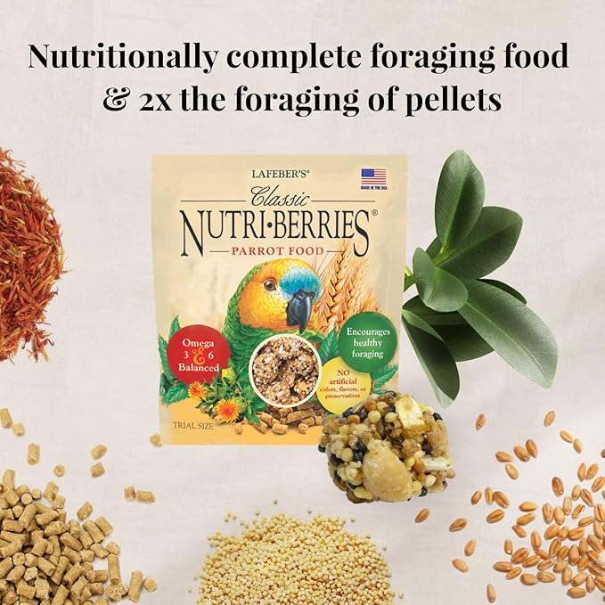 LAFEBER'S Foraging Fun Pack Pet Bird Food, Made with Non-GMO and Human-Grade Ingredients 5 oz (Parrot)