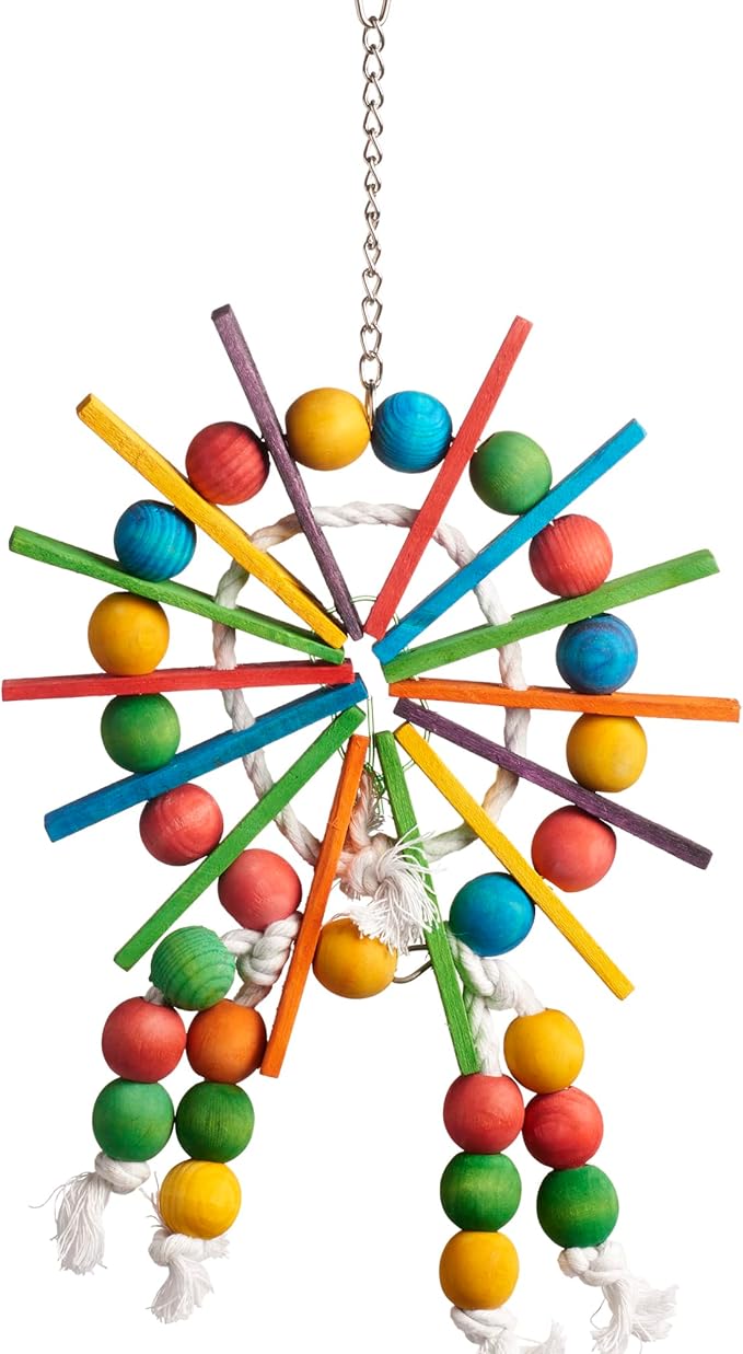 Prevue Pet Products Bodacious Bites Ferris Wheel Bird Toy - Accessories for Parakeets, Conures, Cockatiels, and Small to Large Birds, Hanging Cage Toy for Climbing, Chewing, and Beak and Foot Exercise