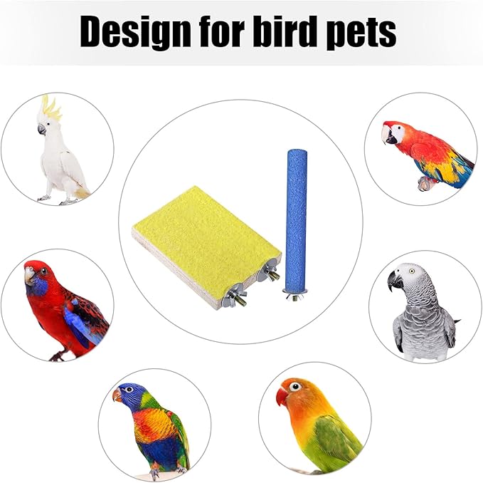 Reginary 12 Pcs Bird Perch Stand Toy Includes 6 Parrot Perch Wood Stand Bird Platform 6 Colorful Paw Grinding Stick for Cage Accessories Parakeet Cockatiel, 6 Colors